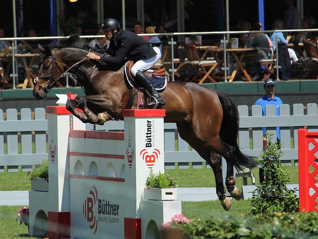 阿劳霍如果 阿劳霍如果