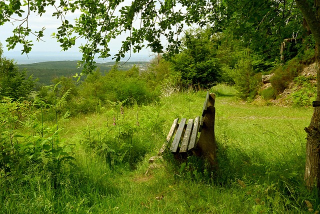 在发布会上 在发布会上