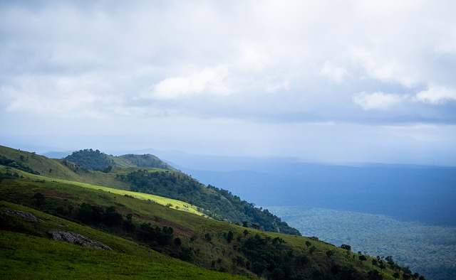 战术灵魂的 战术灵魂的