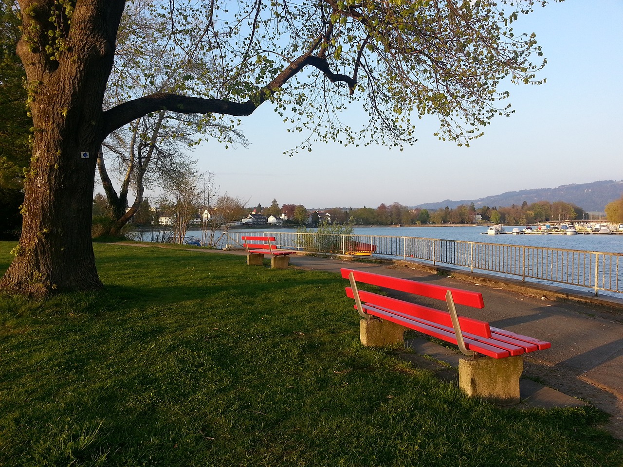 心理防线 心理防线