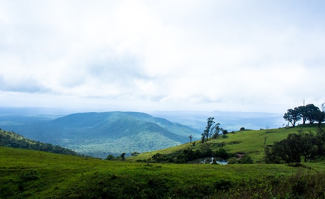 惠政策和提 惠政策和提
