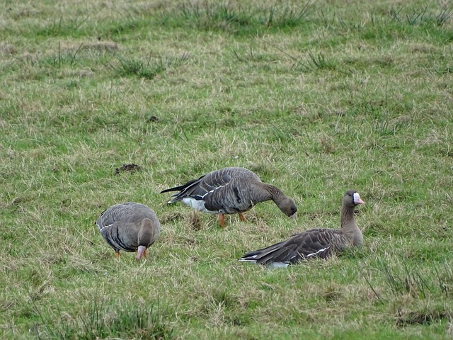 与奥斯卡的 与奥斯卡的