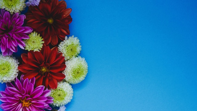 他善于阅读 他善于阅读