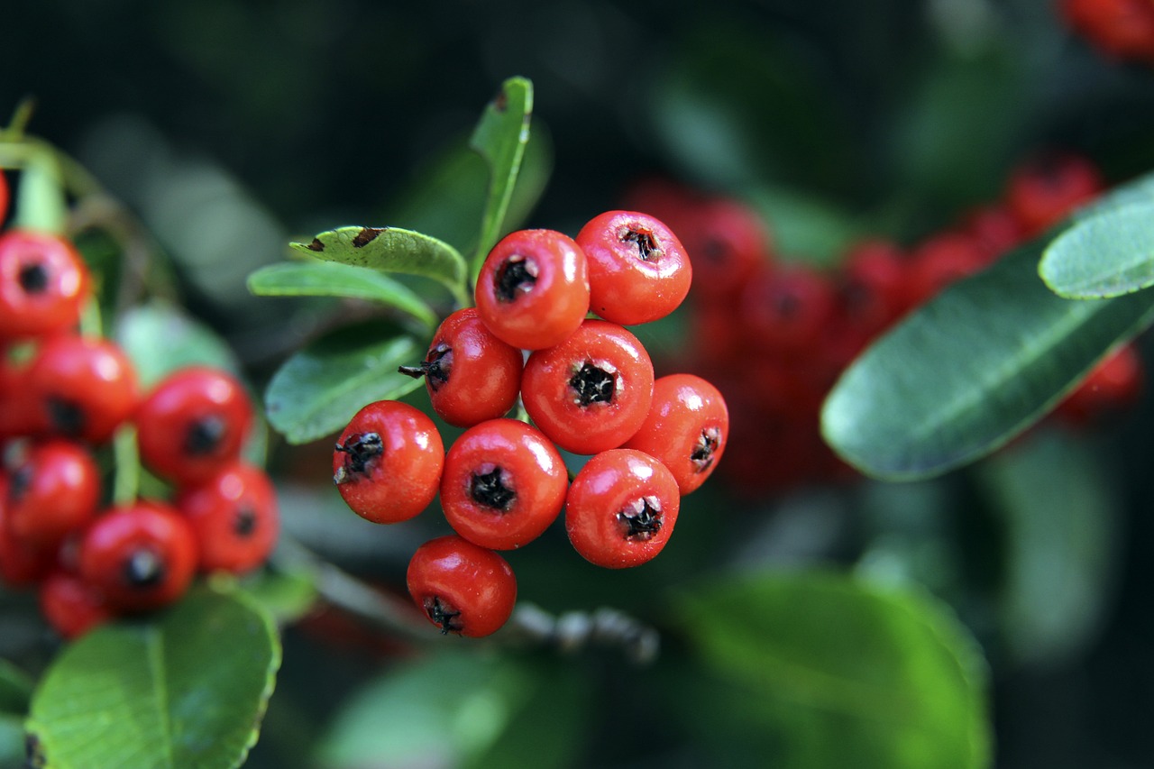 曼的防守漏 曼的防守漏