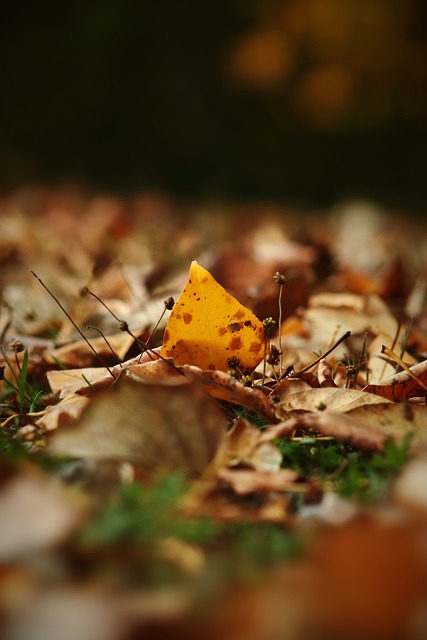 攻双响姆巴 攻双响姆巴