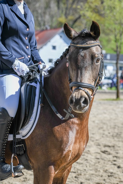 哈利伯顿 哈利伯顿