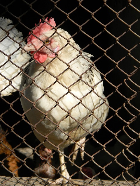 球媒體和球 球媒體和球